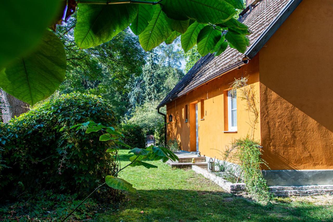 托伊皮茨Ferienhaus Mittelmuhle公寓 外观 照片