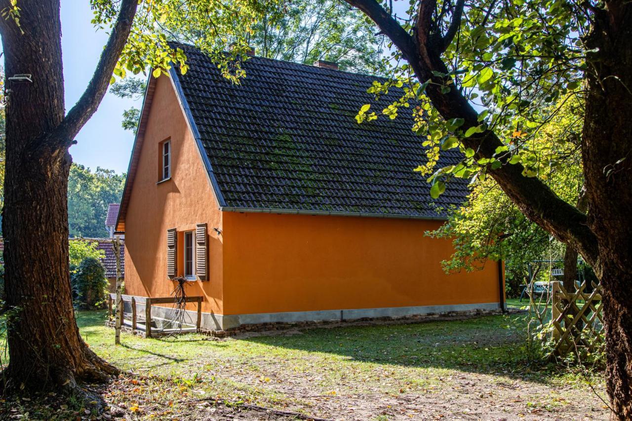 托伊皮茨Ferienhaus Mittelmuhle公寓 外观 照片
