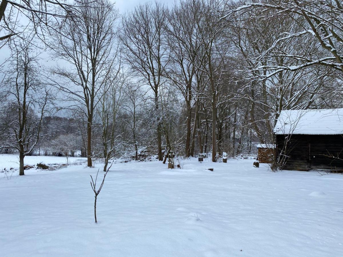 托伊皮茨Ferienhaus Mittelmuhle公寓 外观 照片