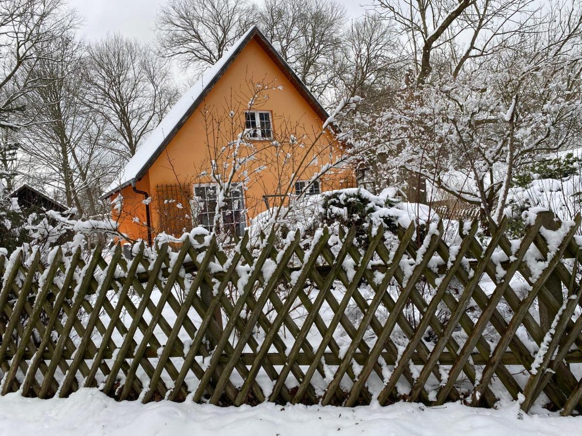 托伊皮茨Ferienhaus Mittelmuhle公寓 外观 照片